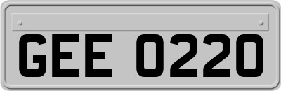 GEE0220