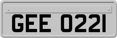 GEE0221