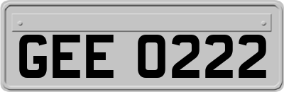 GEE0222