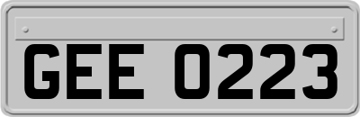 GEE0223