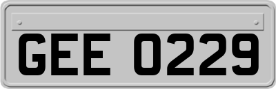 GEE0229