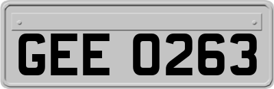 GEE0263