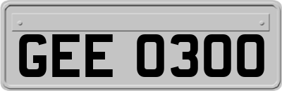 GEE0300