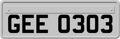 GEE0303