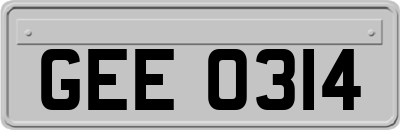 GEE0314