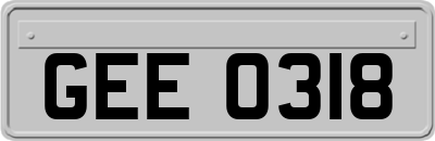 GEE0318