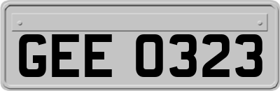 GEE0323