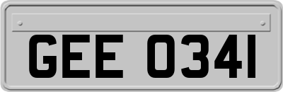 GEE0341