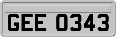 GEE0343