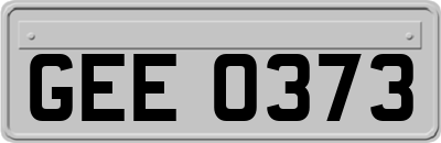 GEE0373