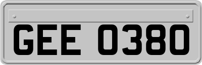 GEE0380