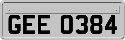 GEE0384