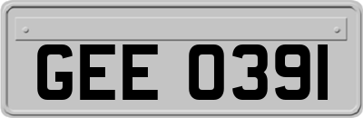 GEE0391