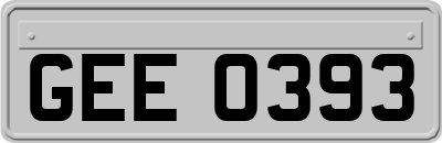 GEE0393