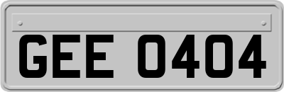 GEE0404