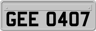 GEE0407