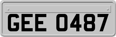 GEE0487