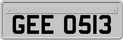 GEE0513