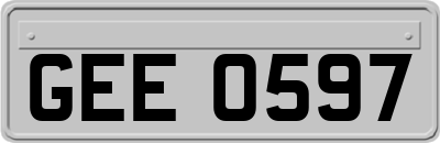 GEE0597