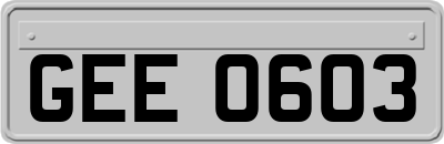 GEE0603
