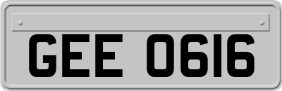 GEE0616