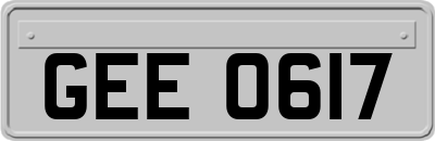 GEE0617