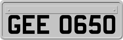 GEE0650