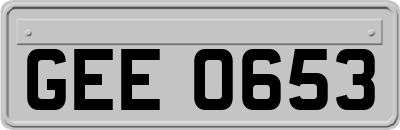 GEE0653