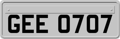 GEE0707