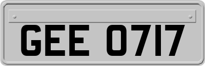 GEE0717