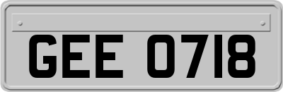 GEE0718