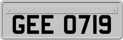 GEE0719