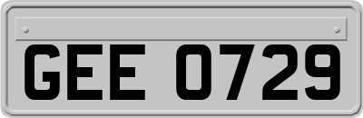 GEE0729