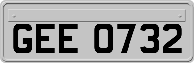 GEE0732