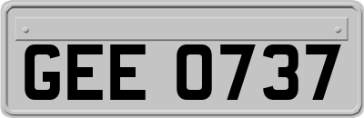 GEE0737