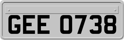 GEE0738