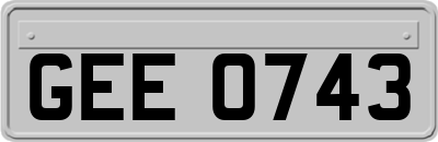 GEE0743