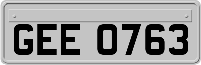 GEE0763