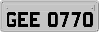 GEE0770