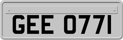 GEE0771