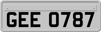 GEE0787