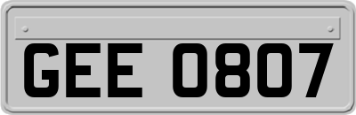 GEE0807