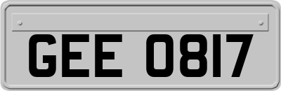 GEE0817