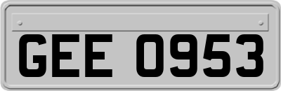 GEE0953