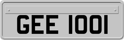 GEE1001