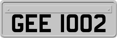 GEE1002
