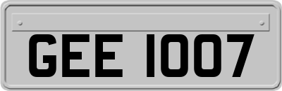 GEE1007