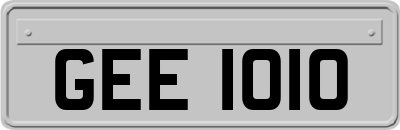 GEE1010