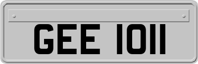 GEE1011