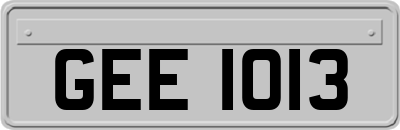 GEE1013